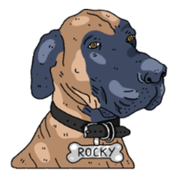 Chape (@chape555) 's Twitter Profile Photo