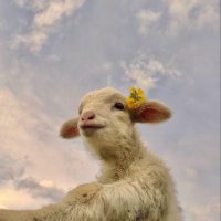 ๐๐๐๐๐๐๐๐๐๐๐ (@ososasss) 's Twitter Profile