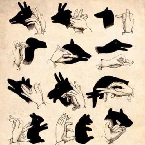 forbidden_hu's profile picture. 