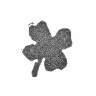 tapichuts's profile picture. 