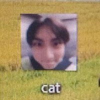 beile (@_heemeows) 's Twitter Profile