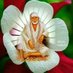Dharmender Kumar (@dharmender65871) Twitter profile photo Dharmender Kumar (@dharmender65871) Twitter profile photo