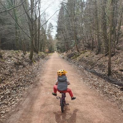 broomwagonblog's profile picture. not a fuckin' bot