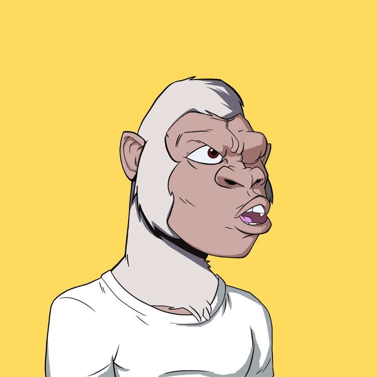 _0_oakley's profile picture. Blockchain Quality Assurance Tester. Animal lover
