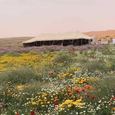 abomhmad1247's profile picture. 