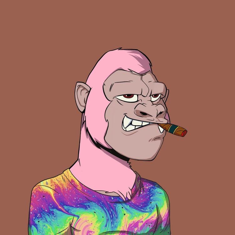 Cryptocurrency Outreach Coordinator| Mastering adulting like it`s a video game| Crypto community manager| Kicks connoisseur