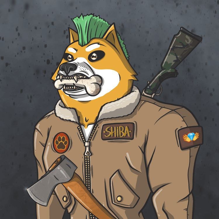 __indyalgo's profile picture. Only up from here🌛 • Web3 Degen • NFT Enthusiast •