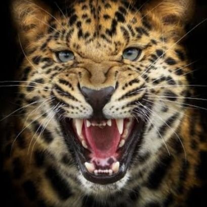 TonyWilson4012's profile picture. 