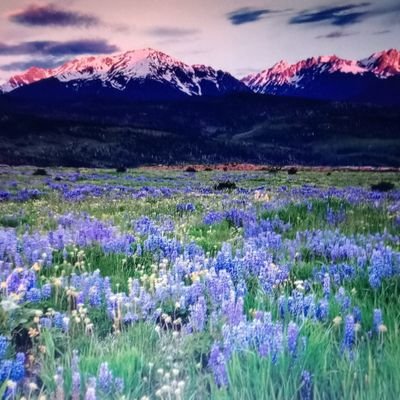 CARLOSEZQU62665's profile picture. 