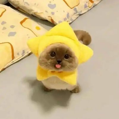 FFg1821138's profile picture. 55. Degen since ICO, still chasing that life-changing bag.