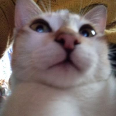 carpenter073's profile picture. :)