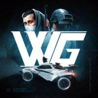 Walker Gaming (@w47k3rg4m1ng) 's Twitter Profile