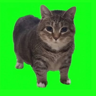 Rさんのプロフィール画像