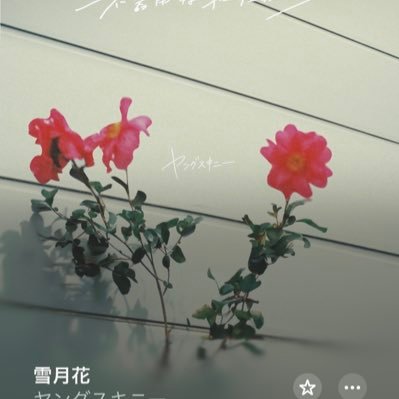 雑多垢‼️最近アニメにハマってます🍀無言フォローすみません(;_;)気軽に絡んでください🙇♂️🍊86 zn6