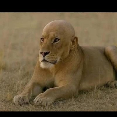 EmmanuelMa29138's profile picture. vibe boy 😉