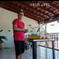 birapizzaiolo (@birapizzaiolo) 's Twitter Profile