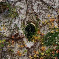 رزان (@_awatercolor) 's Twitter Profile