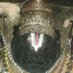 SIMHAMUKHAN-V.IYENGAR-Srivatsam-N.Chakravarthi (@fcaacma1976) Twitter profile photo SIMHAMUKHAN-V.IYENGAR-Srivatsam-N.Chakravarthi (@fcaacma1976) Twitter profile photo