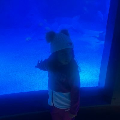 rimal0177's profile picture. 