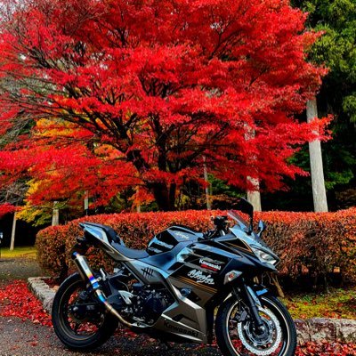 demon_m1125's profile picture. そのへんのそのひと