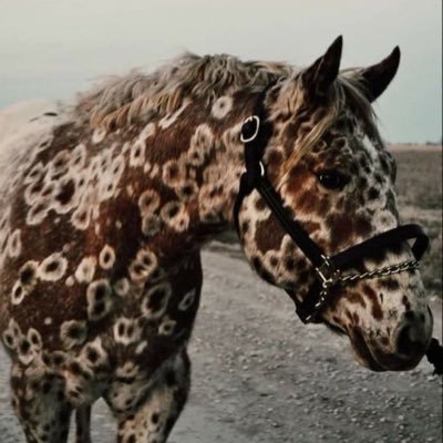 whensadmove's profile picture. 鍵垢