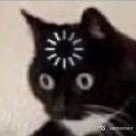 bluu_chung's profile picture. 만년필 • 잉크 • 사담 많음 • 간헐적으로 등장