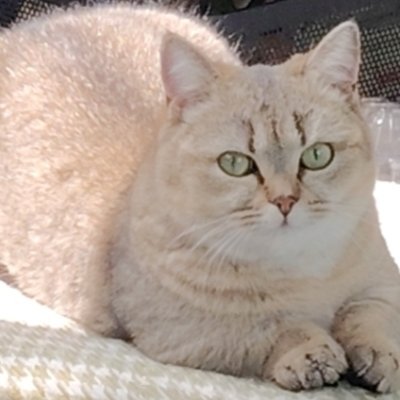 wangx339683's profile picture. 