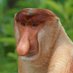 Jarosław (@awjaros34909) Twitter profile photo