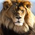 Maxwell Ferreira (@maxf1473) Twitter profile photo Maxwell Ferreira (@maxf1473) Twitter profile photo