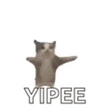 ryshan43's profile picture. “Shanfrancisco”