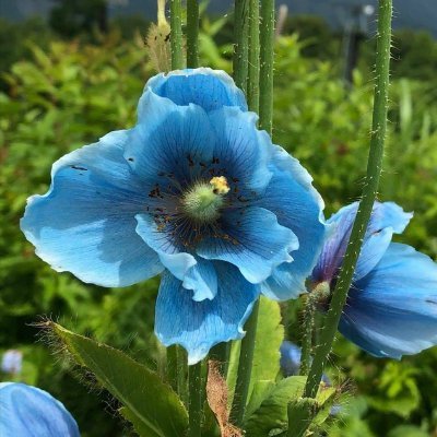 morisaki0112's profile picture. 成長を続けてください。🌱 どんなに小さなステップでも重要です。