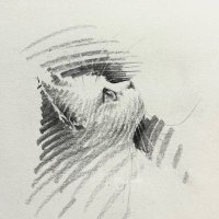 爱情穹顶 (@lovedome67) 's Twitter Profile