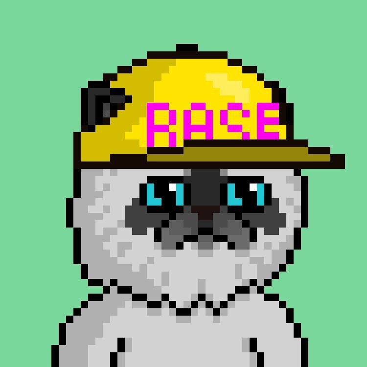 __zairesolll's profile picture. Decentralized App Developer ▫️ Creating a haven for self-expression and acceptance ▪️ Future tech enthusiast ▪️ Motivational speaker