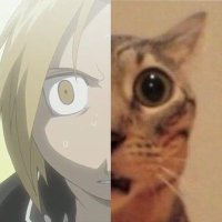 Mai (@fulmetalcae) 's Twitter Profile Photo Mai (@fulmetalcae) 's Twitter Profile Photo