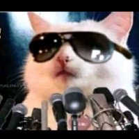 ليان العلياني (@lyanyal33) Twitter profile photo