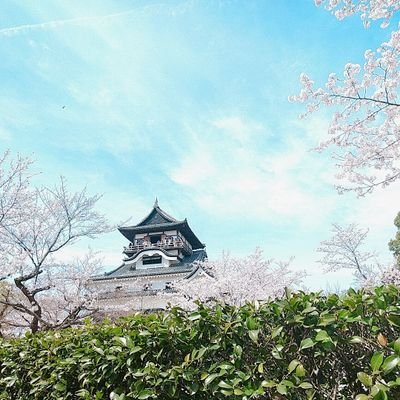 懸賞垢 ¦ 美容 ¦ コスメ💄 ¦ ファッション👗 ¦ 旅行✈️ ¦ 食べ物🍰 ¦ 家電💻 ¦ 懸賞仲間募集中 ¦ 当選報告は丁寧にさせていただきます🥰 ¦ #みくちの当選報告