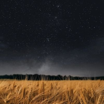 pranavg21950381's profile picture. Future ceo of  trigbotics ...😉