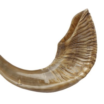צוות התגובות מול הפייק, האובססיה והאופסייד שהשופרות מפיצים