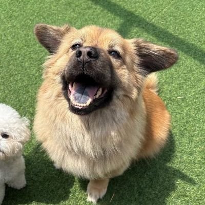 제이さんのプロフィール画像