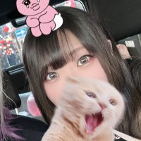わこちゃむ〜a.k.aブラックエンジェル (@chamchamudon) 's Twitter Profile