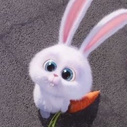 sss6xhoo's profile picture. ﾄﾘﾋｷ🌟25↑🚺