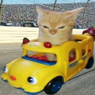 any5head's profile picture. 