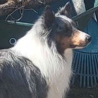 your web3 lawyer (@web3your38359) 's Twitter Profile
