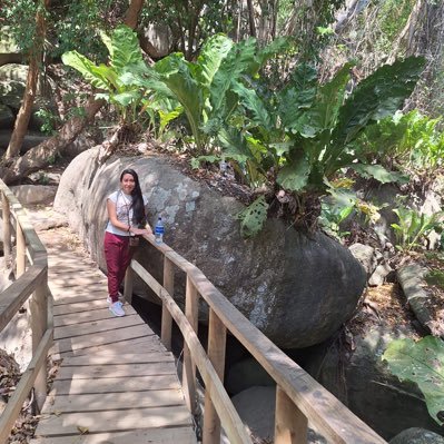 Vengo del sur, Nariño soy. Estudio interacciones entre mariposas y hormigas. 🦋🐛🐜🐞🪲🐝🦗🪰🦟