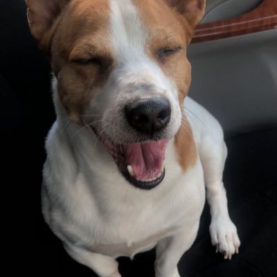 KSDGJC's profile picture. 