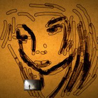 anita marie pruvost AP (@spontaneous_le) 's Twitter Profile