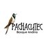 Pachacutec Bosque Andino (@bosquecolibries) Twitter profile photo Pachacutec Bosque Andino (@bosquecolibries) Twitter profile photo