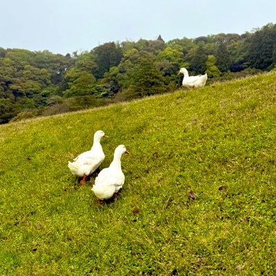 あきねさんのプロフィール画像