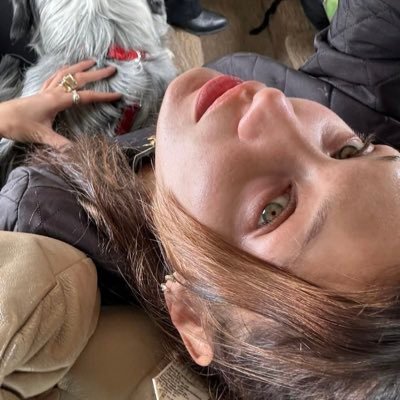 triesweb's profile picture. 