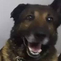 antik çağlar (@antikgergedan) Twitter profile photo